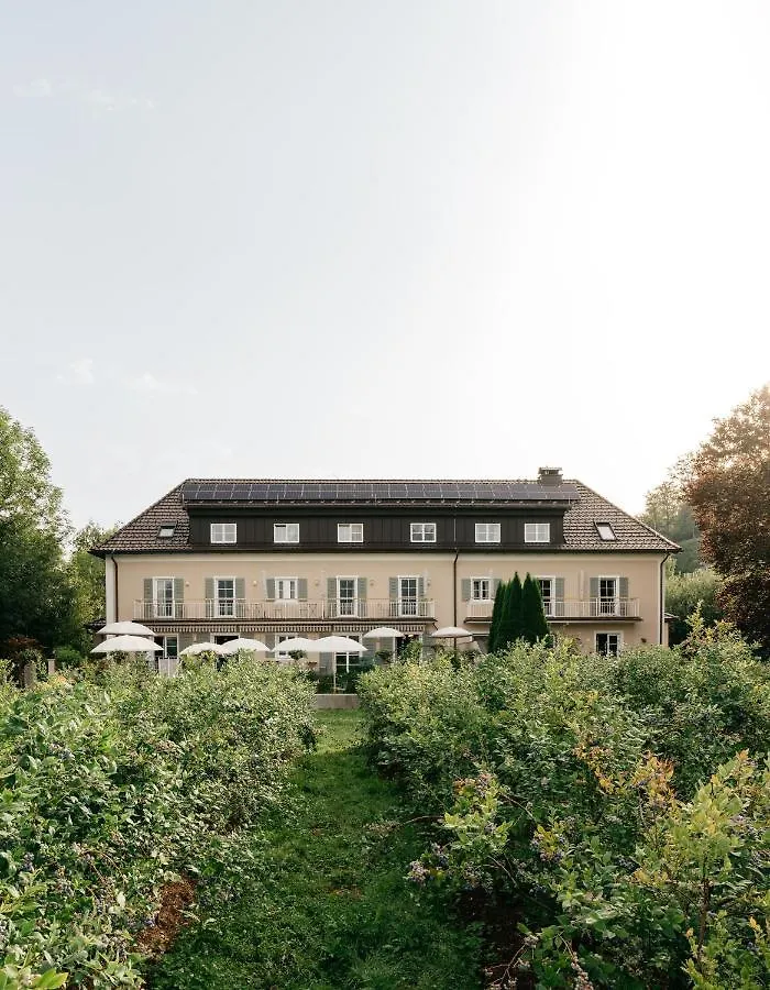 الشقق الفندقية انيففي  Numa Salzburg Ivy 4*, انيف النمسا
